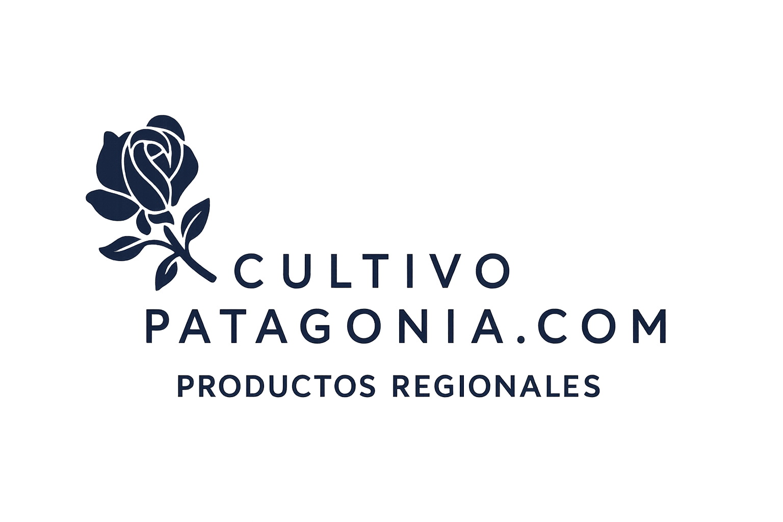 ChatGPT Image 12 jun 2025, 01_23_54 a.m.